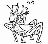Violin Grasshopper Coloring Gif Sheet Cartoon Coloringcrew Pages sketch template