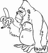 Monkey Coloring Pages Animal sketch template