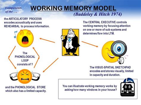 image result  baddeleys model  working memory arbejdshukommelse