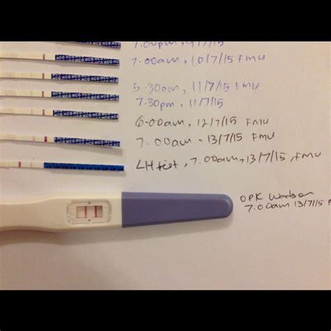 can one get pregnant a day after ovulation porn pics sex