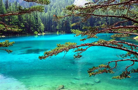 die schoensten badeseen oesterreichs damit ist der sommer gerettet