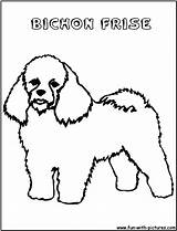 Coloring Pages Bichon Bichonfrise Frise Getdrawings Fun sketch template