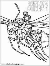 Ant Antman Mewarnai Sketsa Paseo Ejecutar Robot Avenger Mewarnaigambar Transformer Ausmalen Pintar Dibujosonline Categorias sketch template