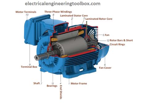 basic parts    phase  squirrel cage induction motor learning electrical engineering