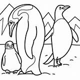 Penguin Pages Coloring Family Colouring Choose Board sketch template
