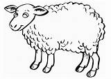 Sheep Kids Drawings Clipart Library Colouring Pages sketch template