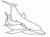 Dolphin Drawing Cute Coloring Pages Baby Getdrawings sketch template