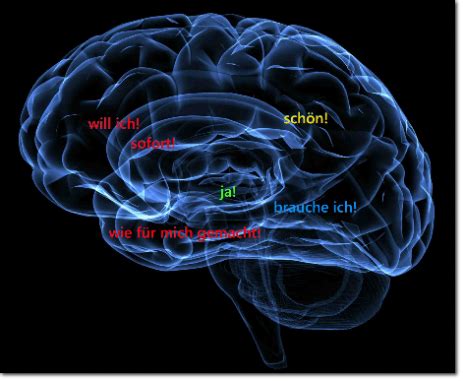 limbisches system mit neurostrategien gestalten