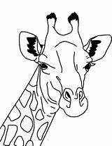 Giraffe Coloring Face Printable Pages Categories sketch template