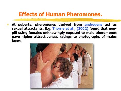 Ppt Biological Bases Of Behaviour Lecture 6 Hormones Powerpoint