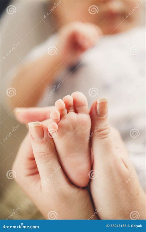 pasgeboren babyvoeten op oudershanden stock foto image  vinger ouderschap
