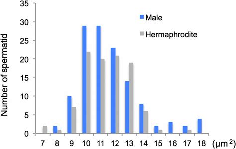 evidence of hermaphroditism and sex ratio distortion in the fungal feeding nematode