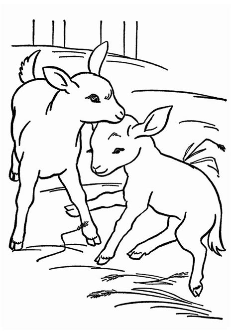 printable goat coloring pages goat coloring pictures