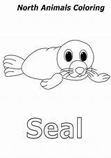 Coloring Animals Seal Arctic Baby sketch template