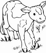 Veau Vache Frais Longhorn sketch template