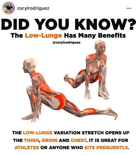 Pin By Christen Stasevich On Stretches Yoga Benefits Fitness Facts