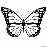 Monarch Coloring4free sketch template