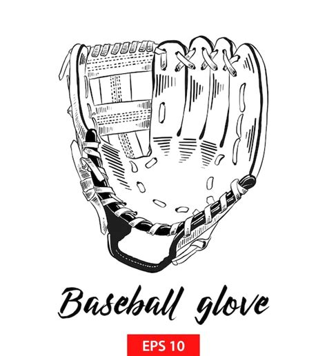 premium vector hand drawn sketch  baseball glove  black