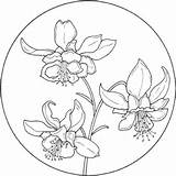Circle Coloring Flower Pages Flowers Printable Supercoloring Colorier Jonquilles Drawing Colouring Pattern Patterns Fleur Columbine Coloriage Sheets Books Mandala Per sketch template