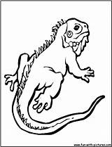 Gecko Coloring Pages Leopard Colouring Printable Color Getcolorings Template Fun Lifetime Pj sketch template