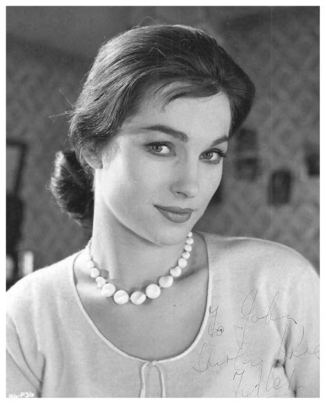 Shirley Anne Field Signed Photo Carla From Alfie Sucking Pussy