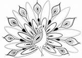 Peacock Coloriage Reduction Felicity Paon Meilleur Peacocks sketch template
