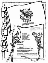 Oklahoma Bird Sooners Crayola Ausmalbilder Coloringhome sketch template