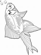 Goldfish Coloring Pages Printable Fish Color Recommended Getcolorings Goldfishes sketch template