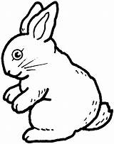 Rabbit Outline Drawing Coloring Pages Getdrawings sketch template