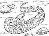 Coloring Pages Snake Viper Anaconda Dodge Rattlesnake Ninjago Color Diamondback Getcolorings Getdrawings Drawing Scary Printable Colorings sketch template