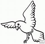 Doves Flying Drawing Coloring Pages Getdrawings Dove Birds sketch template