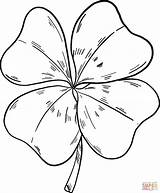 Clover Coloring Pages Printable Supercoloring Drawing Categories sketch template