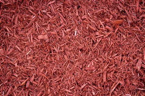 dyed red mulch  mulch