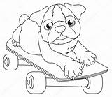 Schattige Cachorro Kleurplaten Bulldog Bouledogue Dieren Skateboard Patin Coloration Honden Depositphotos Engelse Bulldogs Fofo 1023 St3 Chiot Inglese sketch template