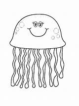 Jellyfish Qualle Bok Animal Quallen Malvorlagen Snubberx Designlooter sketch template