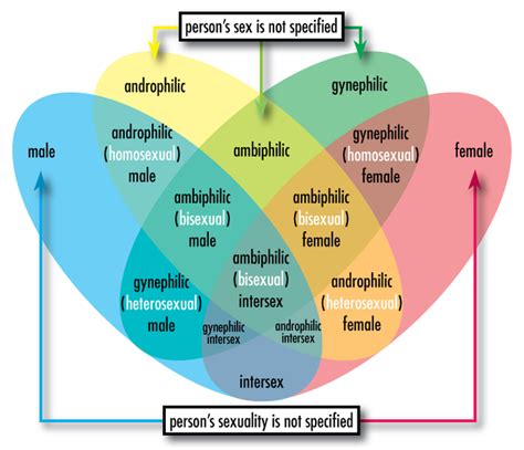 20 1d sexual orientation social sci libretexts