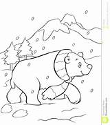 Polar Coloring Bear Pages Cute Ours Polaire Cub Dessin Colorier Book Snow Bears Christmas Getcolorings Coloriage Drawing Printable Getdrawings Colouring sketch template