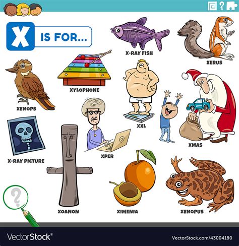 letter  words educational set  cartoon vector image
