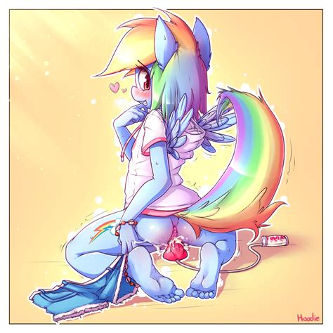 rainbow dash in a hoodie [f f] with lightning dust artist clopper dude the rule 34