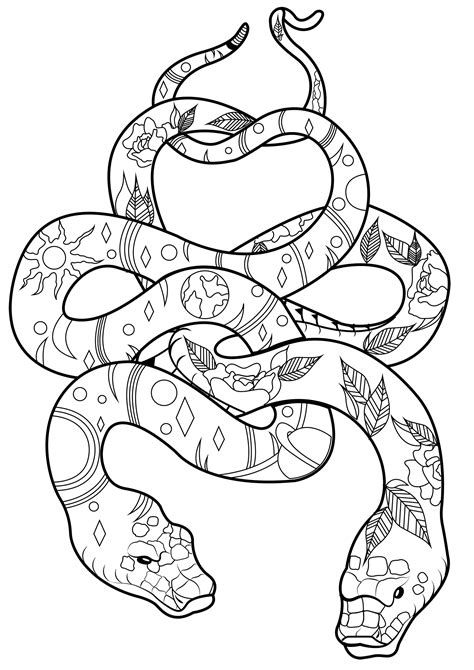 cool snakes coloring pages coloring home