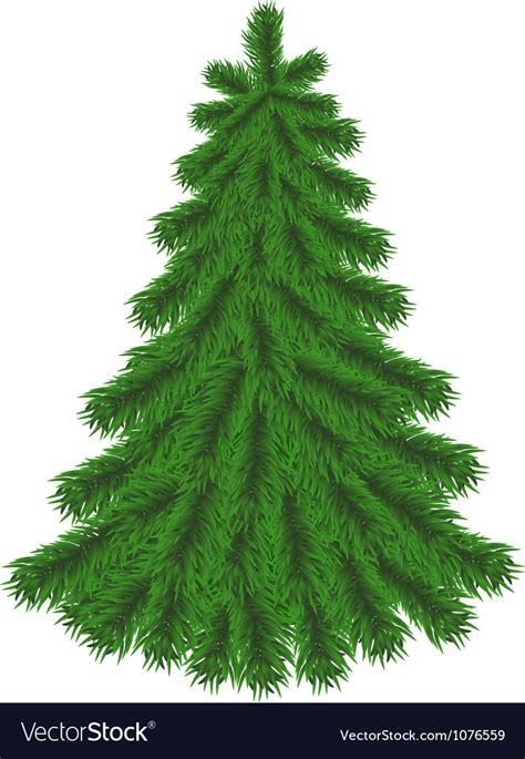 fir tree  christmas decorations royalty  vector