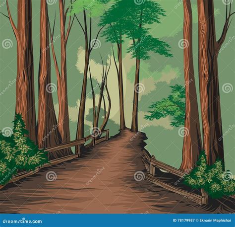 national park scene stock vector illustration  jungle