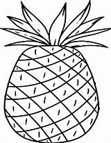 Pineapple Ananas Colorare Disegni Apple Pineapples Aba sketch template