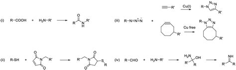 reaction   carboxylic acid   amine  form  amide  scientific