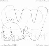 Outlined Whale Coloring Illustration Royalty Clipart Bnp Studio Vector 2021 sketch template