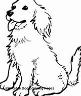 Prairie Coloring Dog Getdrawings sketch template