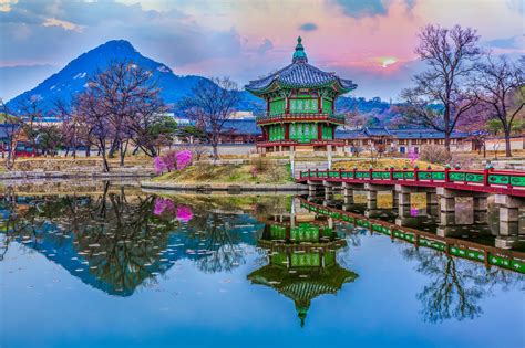 highlights  south korea  innovative travel company