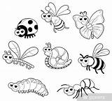 Insectos Bugs Alas Snail Caracol Caracteres Aislado Isolato Lumaca Parati Bianco Shutterstock Catarinas Pixers Mural Fotomural Peces sketch template