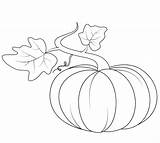 Pumpkin Coloring Pages Printable Simple Print Poster sketch template