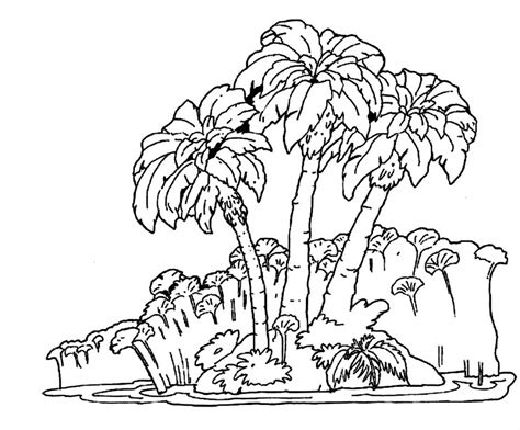 jungle tree drawing  getdrawings